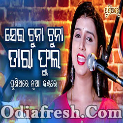 Sei Chuna Chuna Tara Phula (DiptiRekha)